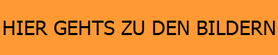 HIER GEHTS ZU DEN BILDERN